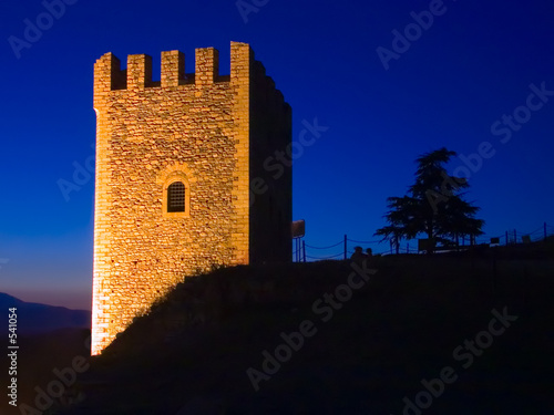 watchtower and tree at night