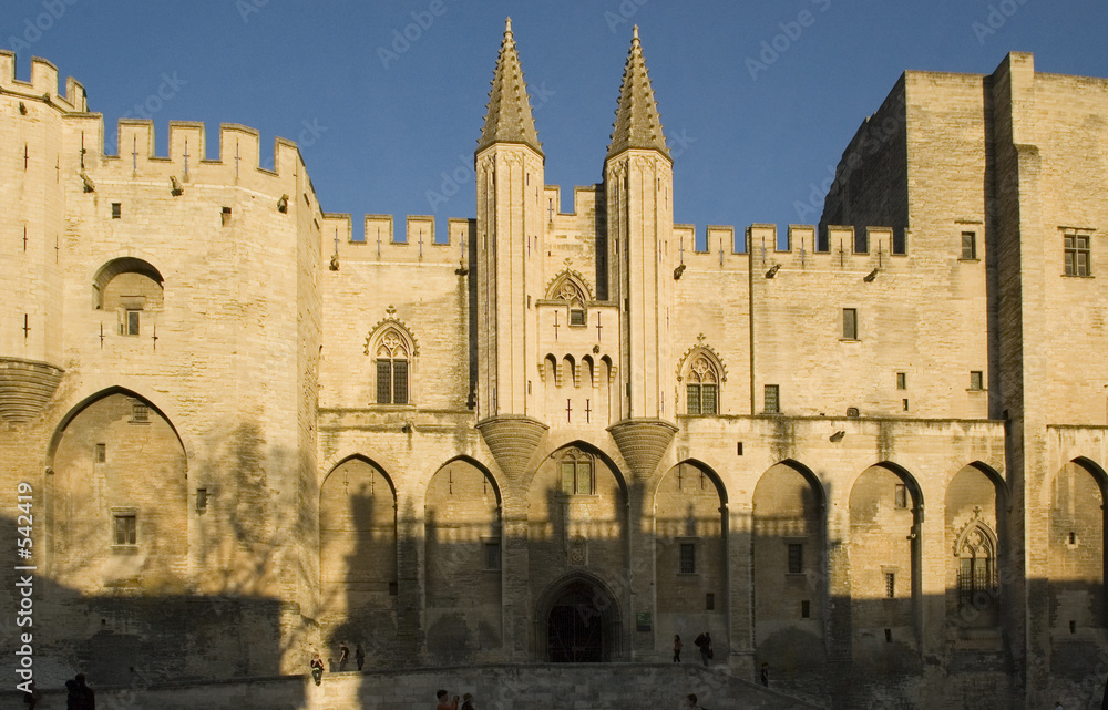 Fototapeta premium le palais des papes en avignon