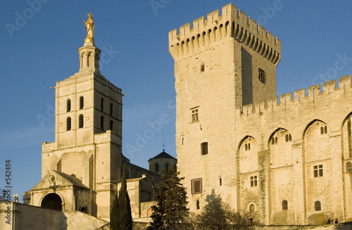 le palais des papes en avignon