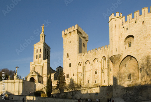 le palais des papes en avignon