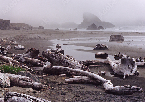 solitude beach