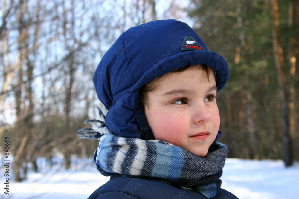 winter walk. winter walk.