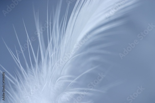 Photography softness