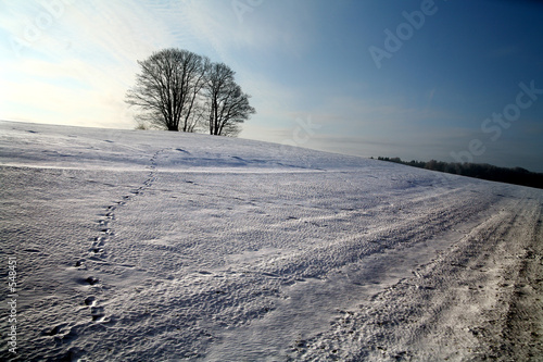 winter in denmark photo