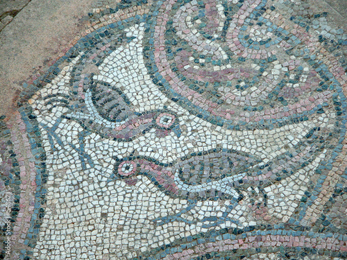 an ancient mosaic