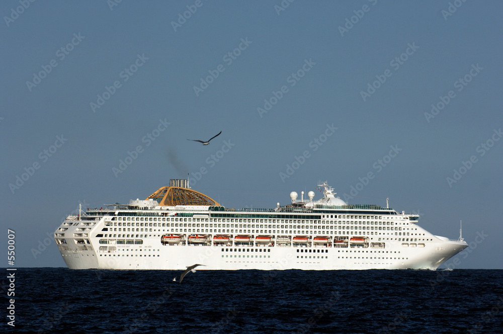 cruise ship with seagulls