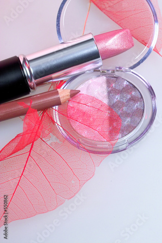 rose lipstick amd eyshadow