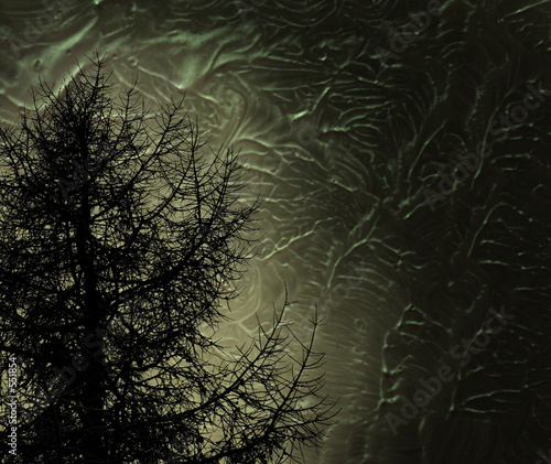 mystic tree