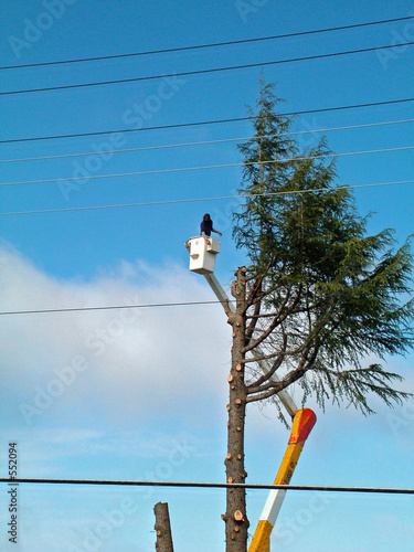 tree removal, danger