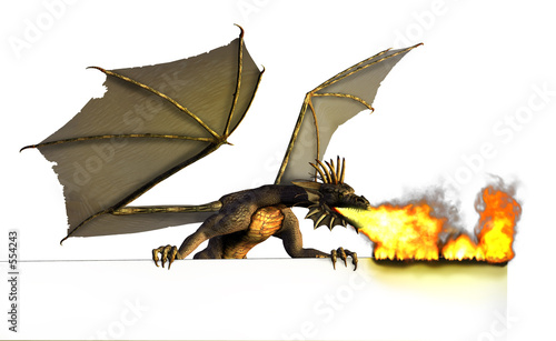 Εκτύπωση καμβά dragon burning sign - on white
