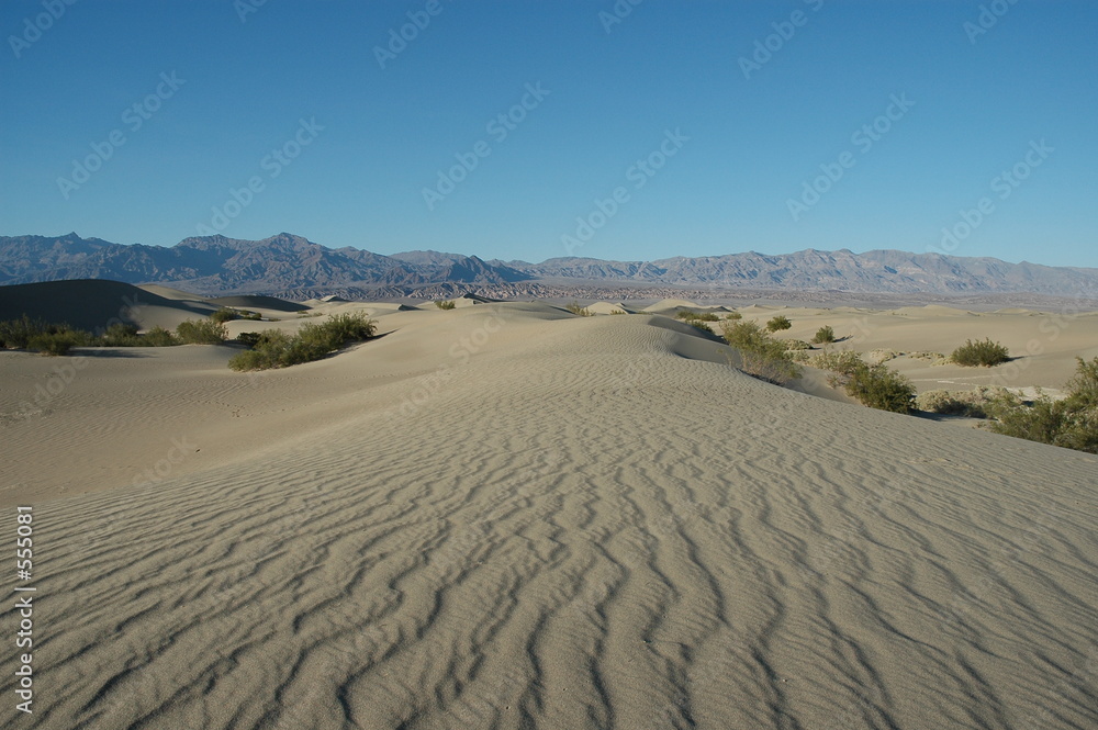 death valley sand dunes death valley sand dunes