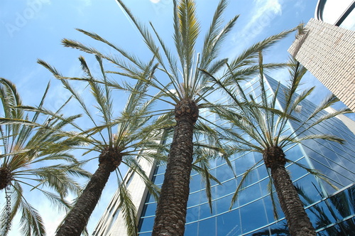 california office building