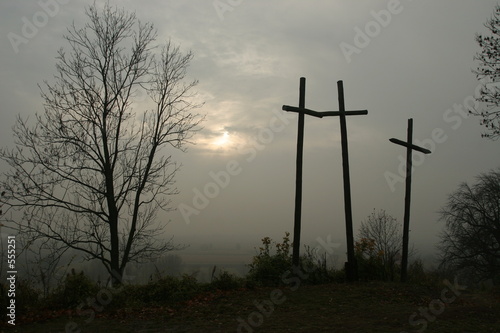 crosses