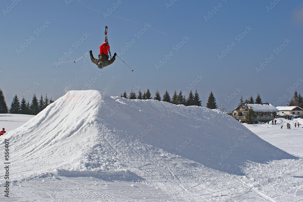 saut à ski l'hiver