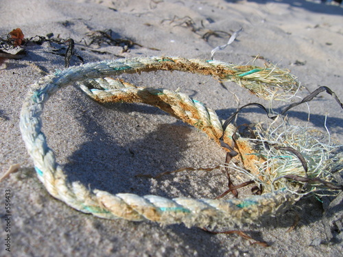 strandgut