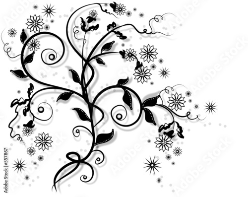 garden vine