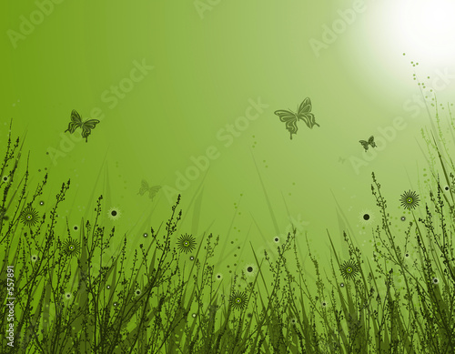 spring grass
