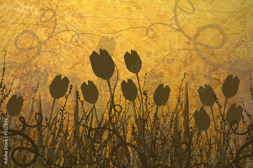spring tulips