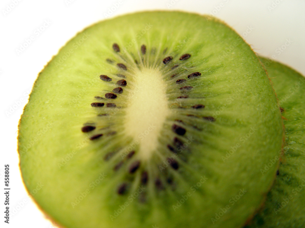 kiwi 0040 kiwi 0040