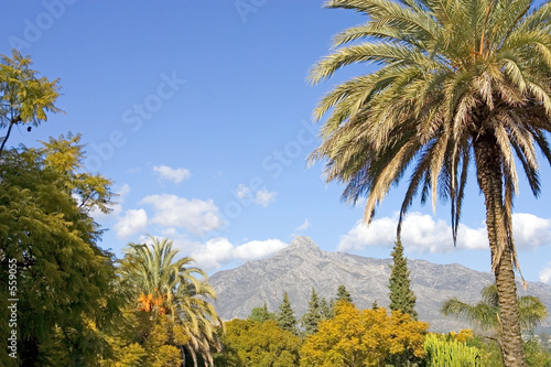 landscape with la concha mountain in marbella