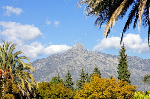 landscape with la concha mountain in marbella