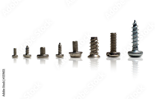 screws