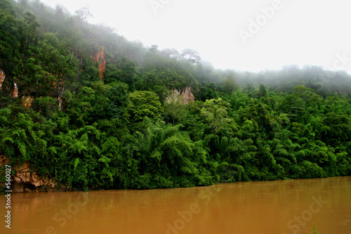 jungle 2