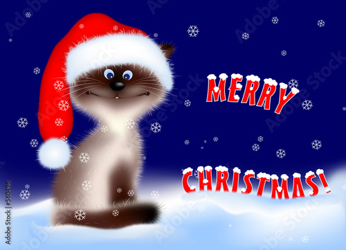 christmas - cat