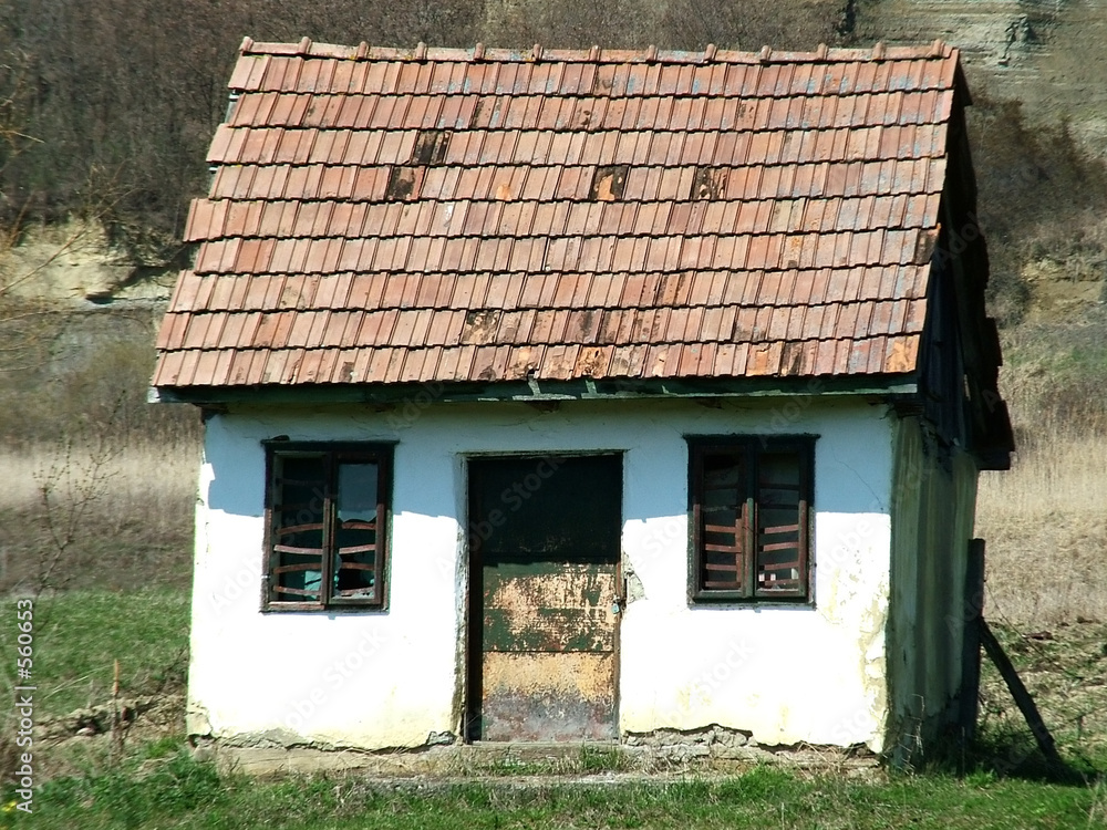 Wall Mural old house