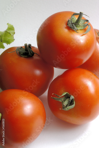 les legumes de mon potager photo