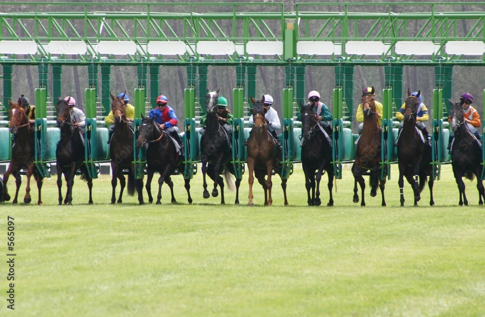 Obraz na plátně départ de la course