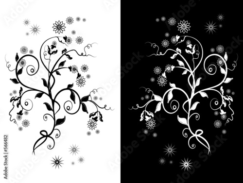  black and white