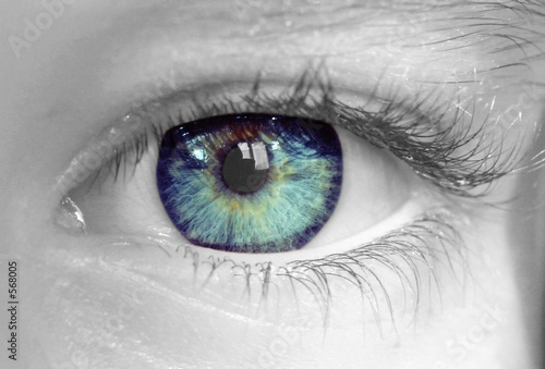 oeil