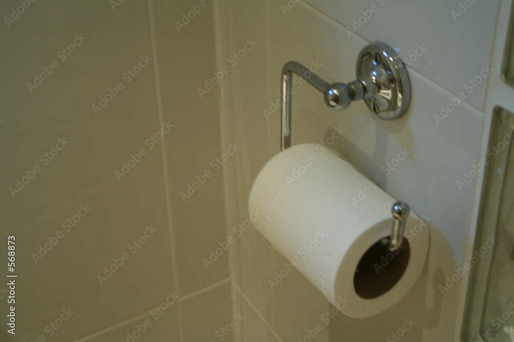 Fotografía toilet roll
