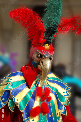 carnaval perroquet