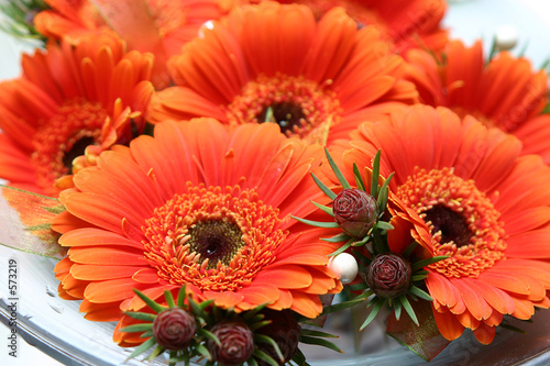 orange flowers