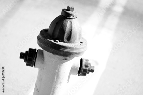 hydrant - dynamisch/schwarz-weiß