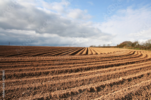 ploughed field furrows