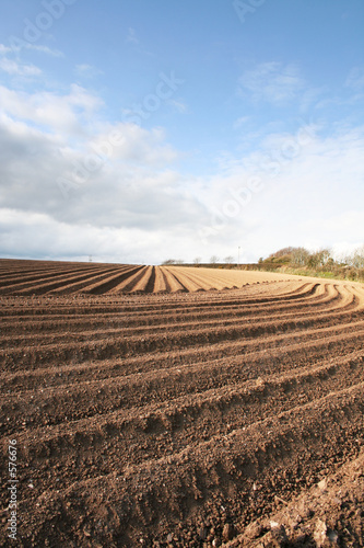 ploughed field furrows