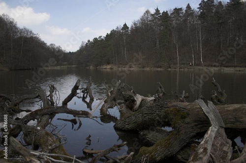 bärensee photo