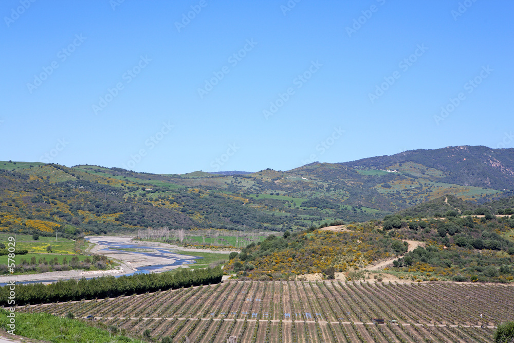 meandering river next to vineyard in spain