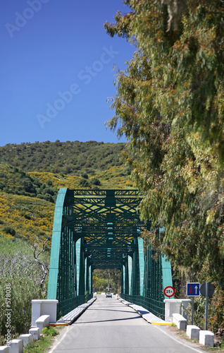 long, green iron bridge over river in spain © Nick Stubbs