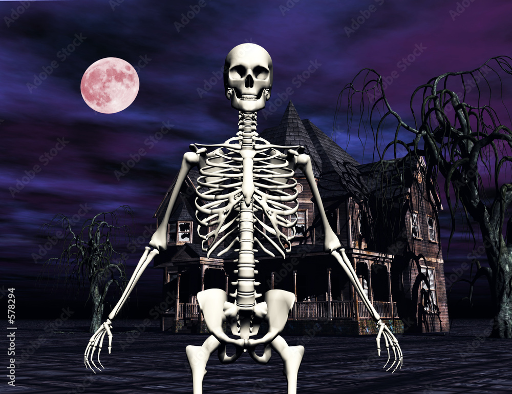 Εκτύπωση καμβά skeleton in front of haunted house