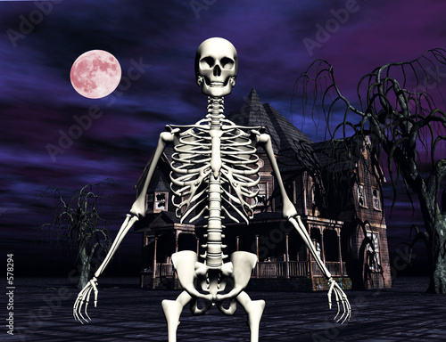 Obraz na plátně skeleton in front of haunted house