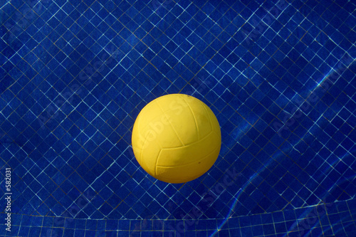 pelota