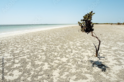 futaisi island