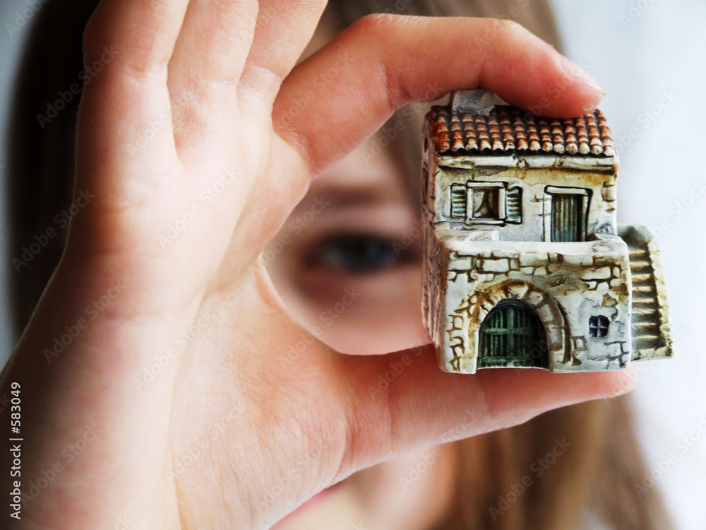 Fototapeta premium house in fingers