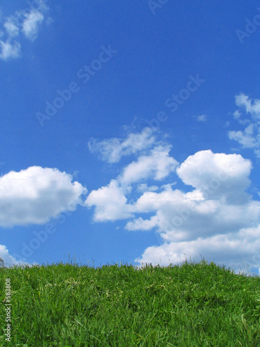 sky and grass © Tolchik