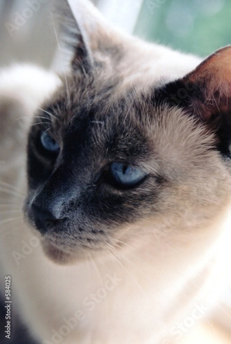 Photography aloof
