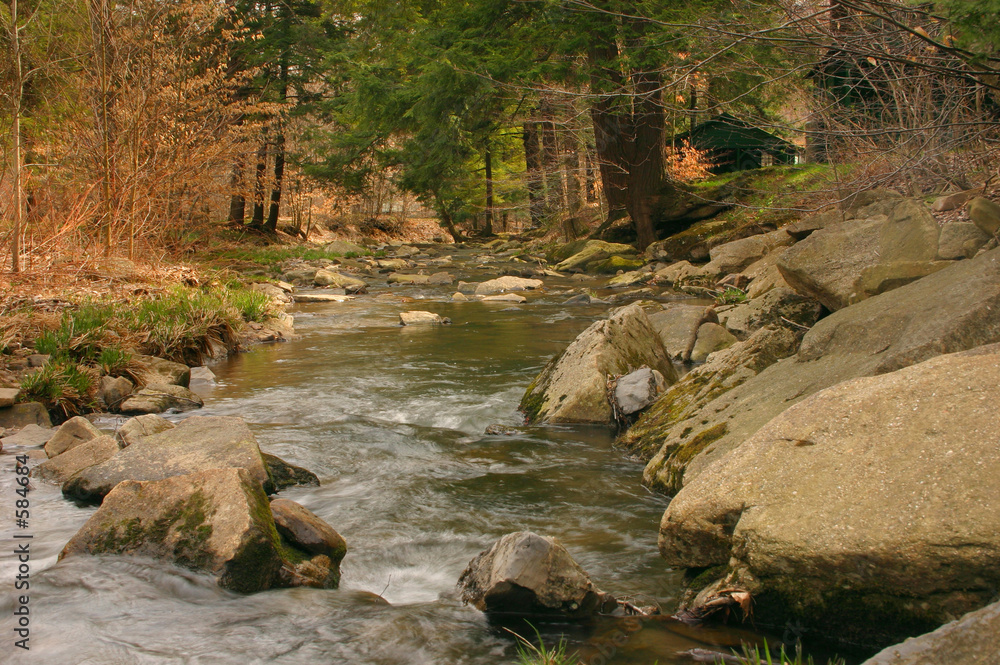 creekbed creekbed